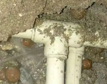 扎赉诺尔测漏水多少钱