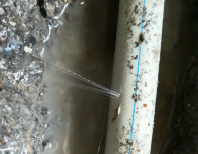 扎赉诺尔测漏水哪家好