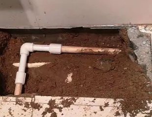 扎赉诺尔测漏水哪家好