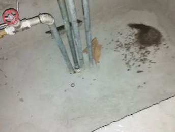 扎赉诺尔卫生间测漏水价格明细