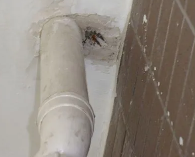 扎赉诺尔漏水检测哪家好